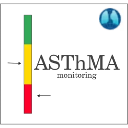 ПО ИнтелСпиро Астма-монитор