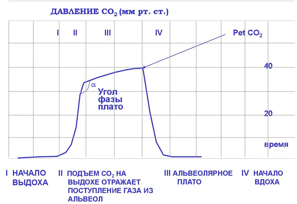 Рисунок – Капнограмма здорового человека
